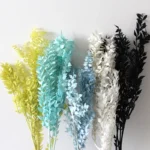 PPL33 Italian Ruscus Wholesale High Quality Dried Italian White Ruscus for Preserved Flowers Arrangement - Image 2