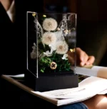 Wholesale Wedding Favor Boxes Mother's Day Gifts.flower Glass Dome. Preserved Dandelion in Glass for Valentine's Day Gifts
