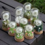 Wholesale Wedding Favor Boxes Mother's Day Gifts.flower Glass Dome. Preserved Dandelion in Glass for Valentine's Day Gifts - Image 6