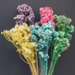 PPF10 Dianthus Chinensis Wholesale Hot Sale Wedding Decoration Flowers Baby Breath  Natural Preserved Eternal Flowers - Image 2