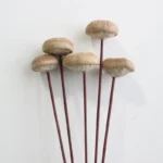 DFS53 Splicing Mushroom Dried Natural Solid Mushroom Flowers.fungus Handicrafts for Home Decor - Image 4