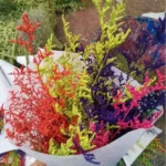 PPL42 Lover Grass Preserved Lover's Grass Bunch for Wedding Office & Party Decoration for Household Flower Arranging - Image 3