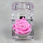 In Ring Box Crystal Eternal Forever Rose Valentine Mother's Day Gift with Preserved Rose - Image 4