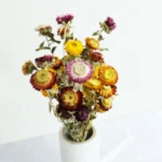 DFF54 Splicing Helichrysum Bracteatum Wholesale Strawflower Dry Daisy Flower Head Mix Colour Materials Natural Dried Flowers - Image 6