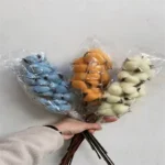 PPF06 Cotton Dried  Preserved Eternal  Flowers & Plants Truly Natural Flowers Wedding Home Decoration Flower Arrangement - Image 6