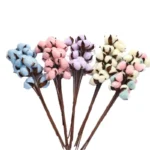 PPF06 Cotton Dried  Preserved Eternal  Flowers & Plants Truly Natural Flowers Wedding Home Decoration Flower Arrangement - Image 2