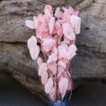 PPL10 Chestnut Leaf Factory Directly Wholesale Preserved Plants Handmade Leaves Materials Dried Flower for Wedding Decoration - Image 3