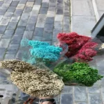 PPL54 Ozothamnus Diosmifolius Natural Dried Flowers Eternal Rice Flower Preserved Fresh Immortal Millet Flower for Mother's Day