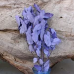 PPL10 Chestnut Leaf Factory Directly Wholesale Preserved Plants Handmade Leaves Materials Dried Flower for Wedding Decoration - Image 5