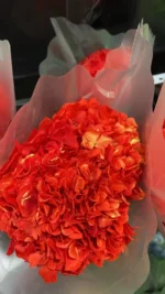 PHA03 Large Leaf Hydrangea 13 Color Naturally Preserved Hydrangea Large Leaf Series for Decorative Flower Arrangement - Image 6