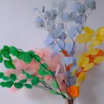 PPL20 E. Polyanthemos Hot Selling Bleached Eucalyptus Apple Leaves Flower Decoration for Home Wedding Valentine's Day INS - Image 5