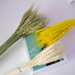 PPS02 Natural Preserved Dry Wheat Vase for Home Decoration Hot Factory Arrangement for Christmas Valentine's Day Graduation - Image 3