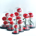 Eternal Rose Flowers Morthers Day Everlasting Preserved Flower Forever Roses in Glass Dome - Image 3