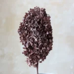 PHA02 Wood Hydrangea 17 Color Solid/mixed Color Gradient Natural Dried Preserved Hydrangea for Decorative Flower Arrangement - Image 4