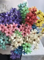 DFF58 Splicing Melon Seed Flower Dried Flower Wholesale Fruit Shell Melon Seeds Handmade Bouquet Flower Arrangement - Image 2