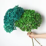 PHA01 Anna Hydrangea 18 Natural Solid Colors Handmade Preserved Hydrangea Flowers Long-term Preservation for Valentine's Day - Image 6