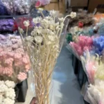 PPF10 Dianthus Chinensis Wholesale Hot Sale Wedding Decoration Flowers Baby Breath  Natural Preserved Eternal Flowers - Image 5