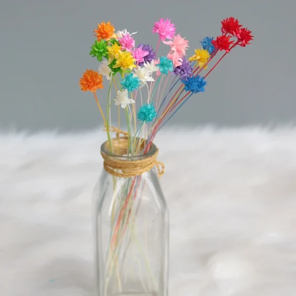 PPF27 Small Mountain Flower Wholesale Dried Mini Star Daisy Flower Real Natural Preserved Brazilian Star Flower