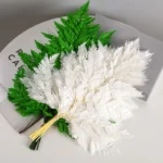 PPL16 Davallia Mariesii Best Selling Popular High Quality Preserved Flowers Plants Dried Alphine Fern Leaf for Home Decoration - Image 2