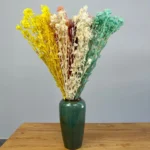 PPL07 Carthamus Tinctorius Factory Supply Everlasting Flowers Orange Pineapple for Flower Arrangements - Image 4