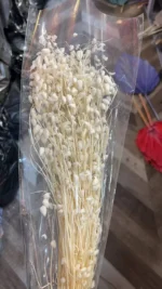 PPF23 Stachys Geobombycis Dried Flowers Handmade Preserved Natural Decorative Flowers and Plants for Wedding Home Decoration - Image 6