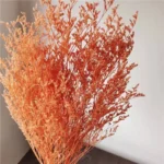 PPL42 Lover Grass Preserved Lover's Grass Bunch for Wedding Office & Party Decoration for Household Flower Arranging - Image 6