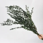 PPL21 E.tereticornis Dried Preserved Eucalyptus Teardrop Leaves Branches for Vase Filler BathroomWedding Arrangement Decor - Image 2