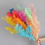 PPL33 Italian Ruscus Wholesale High Quality Dried Italian White Ruscus for Preserved Flowers Arrangement - Image 5