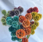 PPS17 Pristimera Cambodian Natural Dried Flower Windmill Fruits Stabilized Plants Immortal  Garden Decor Wedding Decoration - Image 2