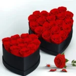 Wholesale Flower Mother's Day Gift Long Life Lasting Real Natural Everlasting Immortal Forever Eternal Preserved Rose in Box