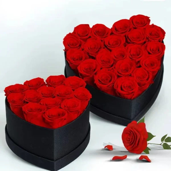 Wholesale Flower Mother's Day Gift Long Life Lasting Real Natural Everlasting Immortal Forever Eternal Preserved Rose in Box