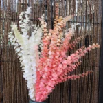 PPL20 E. Polyanthemos Hot Selling Bleached Eucalyptus Apple Leaves Flower Decoration for Home Wedding Valentine's Day INS - Image 4