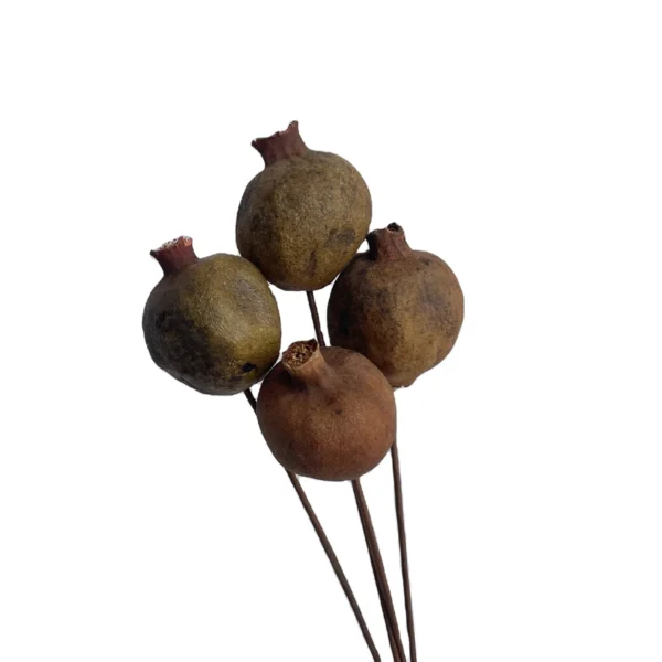 DFS58 Splicing Pomegranate Dried Pomegranate Plants Preserved Flowers Other Decorative Flowers and Plants Wedding Decoration