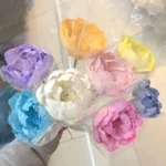 DFF59 Splicing Peony 2024 INS Style Artificial Peony Flower Handmade Wooden Flower DIY Sola Flower for Home Wedding Decor - Image 6