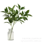 PPL53 Sweet Osmanthus Leaf Preserved Flowers Wholesale Wedding Decoration Graduation Christmas Thanksgiving Father's Day - Image 6