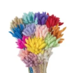 PPL30 Hare Tail Grass Hot Sell a Grade Real Natural Hare Dried Flowers Bunny tails Grass Dried Flower Pallas Grass - Image 2