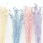 PPS06 Common poppy Seeds 2024 Hot Selling Dried Flower Corn poppy Flower for Home Decoration - Image 4