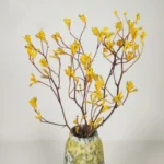 DFL01 Anigozanthos Preserved Natural Kangaroo Paw Flower Factory Price Decorative Flowers for Christmas and Mother's Day