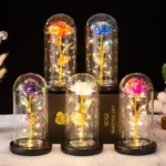 Hot Selling LED Gift Glass Domes Flowers for Home Decoration with Artificial Eternal Flowers for Christmas and Easter