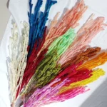 PPL32 Huangye Natural Preserved Flowers Bouquet Making Beautiful Fresh Style Home Decoration Christmas Valentine's Day - Image 2