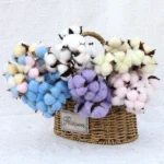 PPF06 Cotton Dried  Preserved Eternal  Flowers & Plants Truly Natural Flowers Wedding Home Decoration Flower Arrangement - Image 4