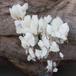 PPL10 Chestnut Leaf Factory Directly Wholesale Preserved Plants Handmade Leaves Materials Dried Flower for Wedding Decoration - Image 4