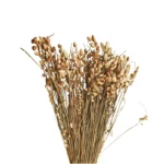 PPF23 Stachys Geobombycis Dried Flowers Handmade Preserved Natural Decorative Flowers and Plants for Wedding Home Decoration - Image 4