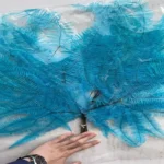 PPL17 Dicranopteris Pedata Natural Flower High Quality Preserved Fern Leaves Everlasting Forked Fern for Decorative Flowers - Image 6