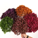 PHA01 Anna Hydrangea 15 Color Natural Plant Dried Flower Preservation Hydrangea Gradient Color Mixed Color Series - Image 4