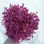 PPF07 Crystal Flower Preserved Flower Gypsophila Babysbreath Dried Baby's Breath Flower Dry Baby's Breath for Wedding Decoration - Image 6