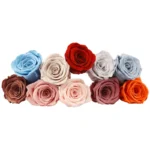 PRA05 Rose 4-5CM 44 colors A grade Yunnan Provence Preserved Rose Heads Forever Rose Immortal Flowers wholesale - Image 4