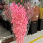 PPL51 New Grass Bamboo  INS Style Dried Oat Yellow Natural Preserved Dried Preserved Oats Flowers for Wedding Decoration - Image 3