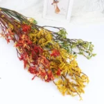 DFL01 Anigozanthos Preserved Natural Kangaroo Paw Flower Factory Price Decorative Flowers for Christmas and Mother's Day - Image 4