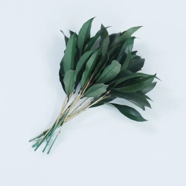 PPL53 Sweet Osmanthus Leaf Preserved Flowers Wholesale Wedding Decoration Graduation Christmas Thanksgiving Father's Day